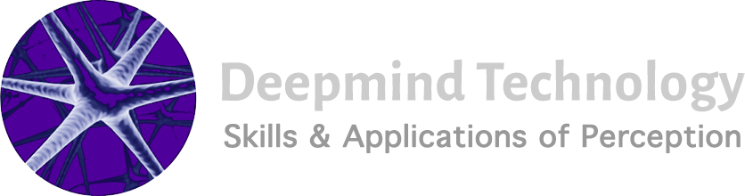 DeepMind Institute